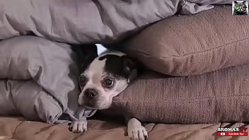 Odio cuando pasa esto en la cama 21 21 por que 21 3a 28