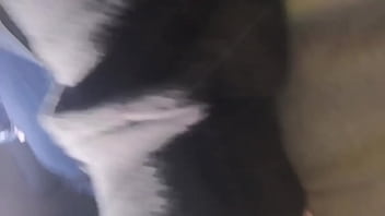 Amateur titty checker