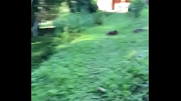 7 dias de muita paz e amor em terra una