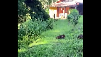 7 dias de muita paz e amor em terra una