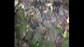 7 dias de muita paz e amor em terra una