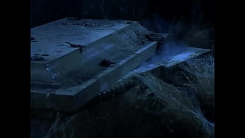 Poniendo temitas en paginas proibida