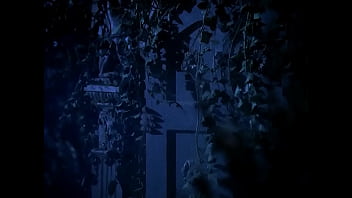 Poniendo temitas en paginas proibida