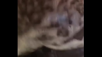 D7a31f36 95db 4486 Baad C00141fedd7cmov thumbnail