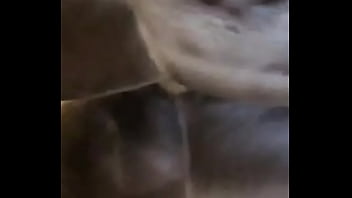 Video bokep part 32313011