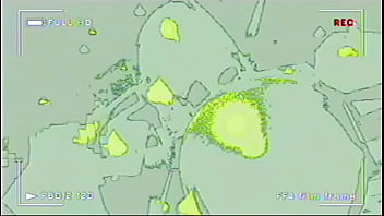 Cute fairy gets fuck outdoors