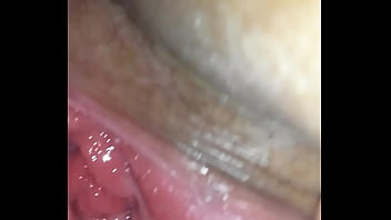 Ppka quer pikao minha esposa