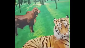 Gp Ativo Fodendo Cliente thumbnail