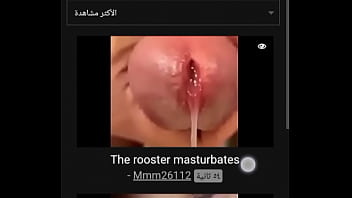 فيديو التحقق