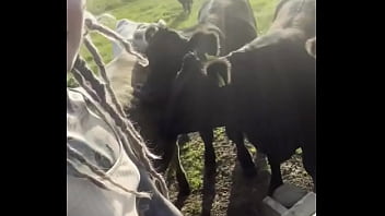 Just a happy hippie country girl talking to cows and to you d #tattooart #blackwork #blackworktattoo #bodysuit #faceta