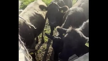 Just a happy hippie country girl talking to cows and to you d #tattooart #blackwork #blackworktattoo #bodysuit #faceta