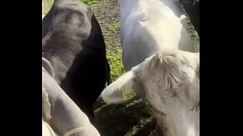Just a happy hippie country girl talking to cows and to you d #tattooart #blackwork #blackworktattoo #bodysuit #faceta