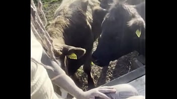Just a happy hippie country girl talking to cows and to you d #tattooart #blackwork #blackworktattoo #bodysuit #faceta