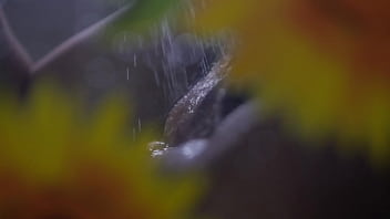 Video bokep part 28996361