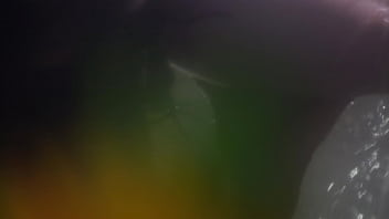 Video bokep part 28996361