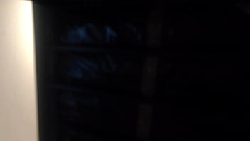 Me vino a visitar y me mamo la verga