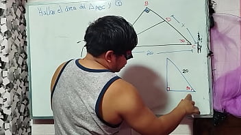 12 calcula mi x en triángulo sexual matemático