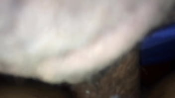 Mi guevo dentro de su cuca