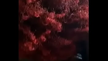 That during the day head