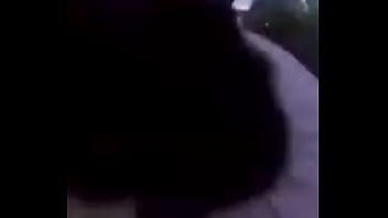 El divertido ciclo de gatitios divertidos