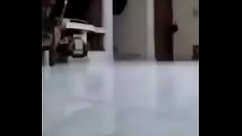 El divertido ciclo de gatitios divertidos