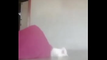 El divertido ciclo de gatitios divertidos