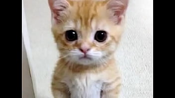 Not jacking off for you