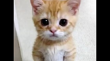 Not jacking off for you