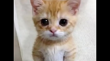 Not jacking off for you