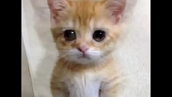 Not jacking off for you