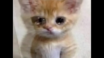 Not jacking off for you