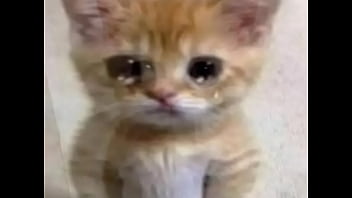 Not jacking off for you