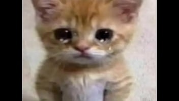 Not jacking off for you