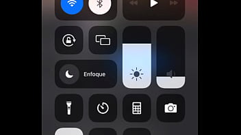 Perra bailando moviendo culote