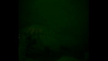 Red and blue district