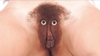 Care and feeding instructions for your fussy finicky feline friend