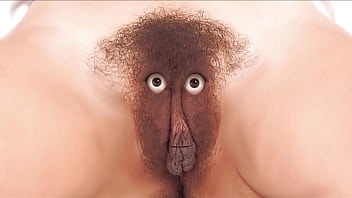 Care and feeding instructions for your fussy finicky feline friend