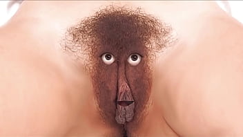 Care and feeding instructions for your fussy finicky feline friend