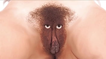 Care and feeding instructions for your fussy finicky feline friend