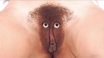 Care and feeding instructions for your fussy finicky feline friend