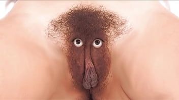 Care And Feeding Instructions For Your Fussy Finicky Feline Friend thumbnail