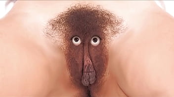 Care and feeding instructions for your fussy finicky feline friend