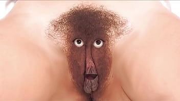 Care and feeding instructions for your fussy finicky feline friend