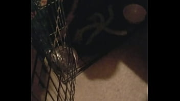 Boots is awesomeness