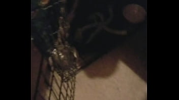 Boots is awesomeness