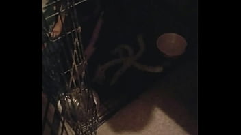 Boots Is Awesomeness thumbnail