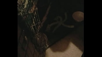 Boots is awesomeness