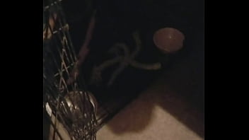 Boots is awesomeness