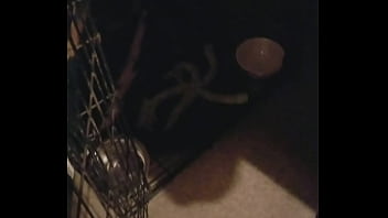 Boots is awesomeness