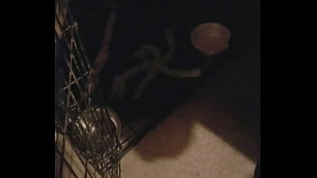 Boots is awesomeness